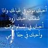 الصورة الرمزية حلى الحلوه