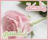 الصورة الرمزية ملكة نفسي