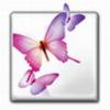 الصورة الرمزية @lifesilent@