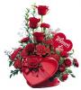 الصورة الرمزية alrefai