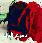 الصورة الرمزية دموع ووله