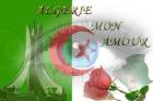 الصورة الرمزية الدكتور سهيل