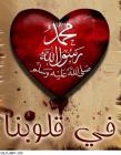 الصورة الرمزية توفي1426