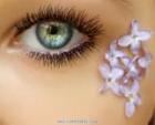 الصورة الرمزية نوليا11