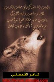 الصورة الرمزية شاهر القحطاني