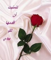 الصورة الرمزية asdmahmood