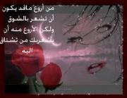 الصورة الرمزية صمت الشوووق
