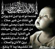 الصورة الرمزية fofo al7rbe