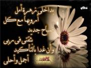 الصورة الرمزية غدير بيراوي
